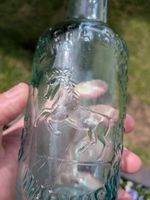 Half Pint Horse Pictorial Beer Bottle - Guys Cliffe Brewery Co Warwick