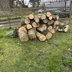 firewood logs wood log burner 