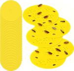 Flea Trap Sticky Sticker 30 PCS Refillable Glue Boards with 12cm Diameter Disc