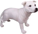 White Staffordshire Bull Terrier Dog Statue - White Staffie Ornament Staffy