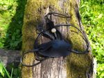 Handmade Leather Shepherd Sling – Italian Leather, Traditional Outdoor Tool