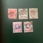 GOLD COAST SELECTION OF 1d STAMPS