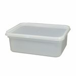 20 x 2 Litre Rectangular Ice Cream Tub with Lids, Kitchen Food Storage Container