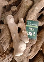 RARE Pack 2XL Knotted Coffee Wood Dog Chew Natural Bone Stick Dental Treat 