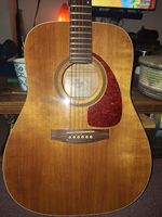 Norman B20 6 String Acoustic Guitar