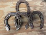⭐️🐴 REAL LUCKY HORSE SHOE ⭐️🐴