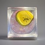 Genuine baltic amber fossil with insect Wasp(?) inclusion - collectible