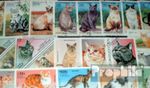 50 diff. special stamps Cats-Collection Cats 050