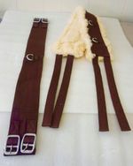 New Synthetic LUNGE BREAKING TRAINING ROLLER + adjustable girth SIZE F/C/P BROWN