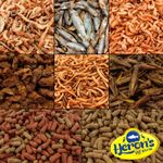 HERONS DRIED FOOD Whole Fish, Shrimp, Silkworm, Grasshoppers, Mealworm, Gammarus