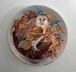 Vintage Coalport Limited Edition ‘Barn Owl’ Display Plate