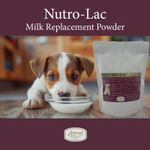 Nutrolac- Puppy milk replacer 500gm/2.5kg-The Animal Health Company