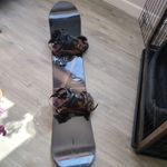 Rome SDS Board With targa bindings