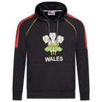 Wales hoodie Rugby Fan Gift Hoodie Unisex Hoodies Welsh Rugby Black
