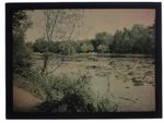 UK River Scene Autochrome Colour Glass Magic Lantern Slide c1900s