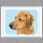 6 Rhodesian Ridgeback Dog Blank Art Note Greeting Cards
