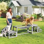 3 Pieces Dog Agility Training Equipment with Soft Bridge for Outdoor, Grey