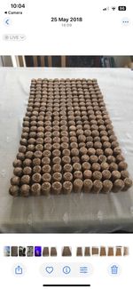 Champagne Corks (Used) Ideal for Craft Weddings Parties Etc