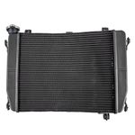 Radiator Engine Cooler For Aprilia RS 660 / Tuono 660 2020-2025