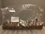 MUSHROOM GROWING KIT 4LBS , "LIGHTBAGS" INJECT-AND-FORGET REMASTERED