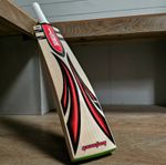 Gray-Nicolls Cricket Bat Quantum Red Off Cut SH - English Willow - 2lb 10 & 11