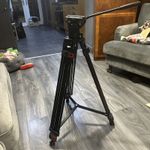 NEEWER TP74 74” Video Tripod Fluid Head Heavy Duty Camera Tripod