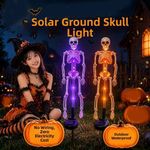Solar Powered Halloween Solar Stake Lights  Halloween Party