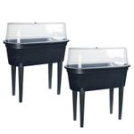 Set of 2 Mini Greenhouse Raised Planters with Cover Indoor Outdoor Veg Planters