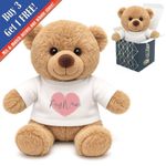Personalised Light Brown Teddy Bear Toy with T-shirt with Name in Heart Design