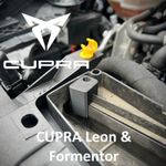Cupra Leon & Formentor Intake Rear Snow Flap Locking Blocker - MQB Evo