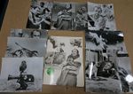 Rare Original 1973 WGBH PBS Walsh's Animals Press Kit w/ 12 Photos! John Walsh