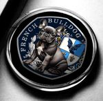 Full Colour FRENCH  BULLDOG Silver Commemorative Coin in Capsule. Frenchie/Puppy