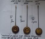 CLOCK pendulum(medium) selection of for french clocks  .Choose the one you want