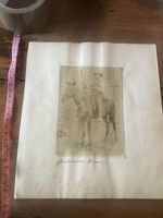 SECOND BOER WAR 2nd Wiltshire Regiment Album 16 Original Photos. Ca. 1899-1902