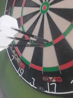 Winmau blackout darts 24g hardly used