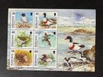 ALDERNEY 2011 BIRDS MNH STAMP MINI SHEET MSA428