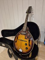 Aria AM200E Electro Mandolin in Brown Sunburst w/Case