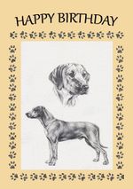 RHODESIAN RIDGEBACK DOG BIRTHDAY CARD GREETING NOTE CARD