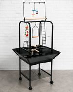 Jungle Parrot Play Stand on Wheels, Medium Bird Cage, Large With Seed Catcher