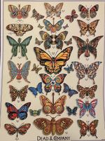 DEAD AND COMPANY BUTTERFLY POSTER S/N