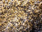 Prepared Buckwheat and cut corn