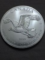 2014 Canadian Mint Birds of Prey "Bald Eagle" Fine 1oz silver coin (2734)