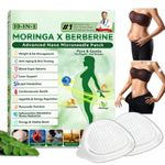 Luxarise Moringa & Berberine 10-IN-1 Advanced Nano Microneedle Slimming Patch