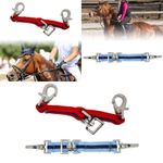 Lunging Strap for Lunge Line Premium Training Equipment Daily Use Competition