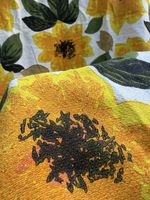 Vintage 1960s Flower Screen Print Fabric Curtain