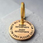 Solid Brass Deep Engraved Pet ID Tag, Custom Dog Cat Collar Charm ID Tag