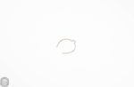Daiwa Click Leaf Spring H41-6101 (BinB)
