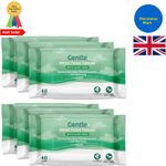 Eco-Friendly Moist Toilet Wipes with Aloe Vera - 240 Flushable Tissues, 6 Packs