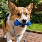 Dual Action Dog Dental Chew Toy Teeth Cleaning Brush Tough Rubber Prop