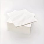 White Paper Napkins 2-Ply 1/8 40x40cm Disposable Serviettes for Parties & Events